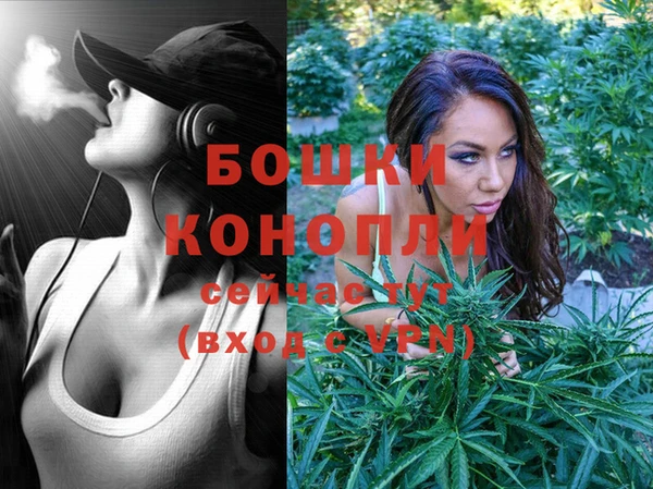 мескалин Ельня