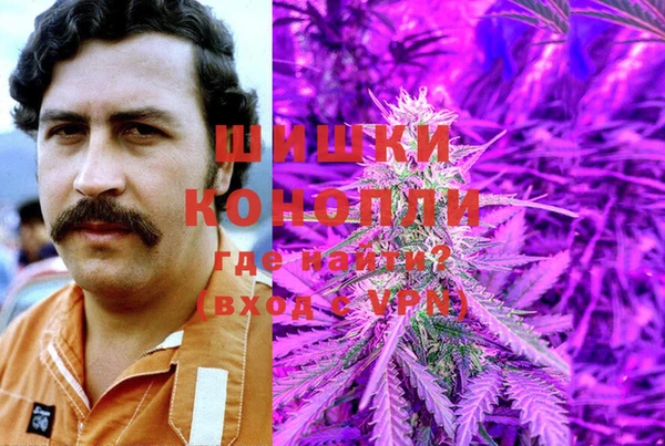 мескалин Ельня