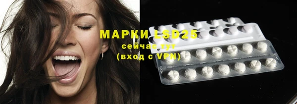 мескалин Ельня