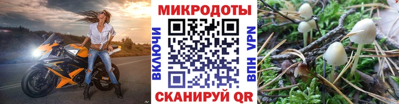 купить наркоту  Карабаново  Псилоцибиновые грибы Magic Shrooms 